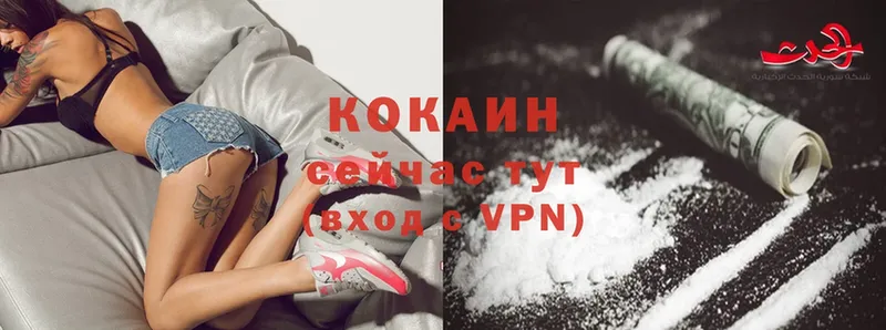 Cocaine FishScale  как найти   Горняк 